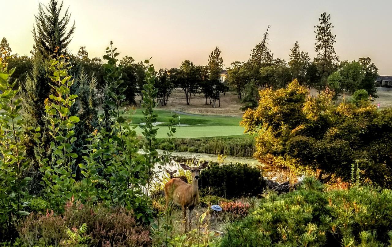 Resort At Eagle Point Golf Club Lodging Екстер'єр фото