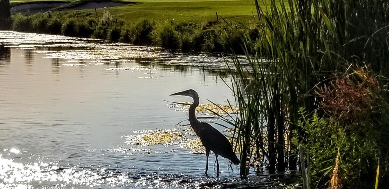 Resort At Eagle Point Golf Club Lodging Екстер'єр фото